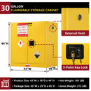 30 Gallon Flammable Safety Cabinet by HouseOfZazla