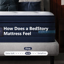 Bedstory Spine Align 12" Full Firm Pressure Relieving Cooling Hybrid Mattress by HouseOfZazla