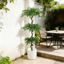 Artificial Ficus Tree With Pot For Home Decor Indoor Plant - Green