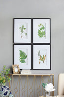 Botanical And Fern Wall Art, Wall Decor For Living Room Dining Room Entryway (Set of 4) - White / Black by HouseOfZazla