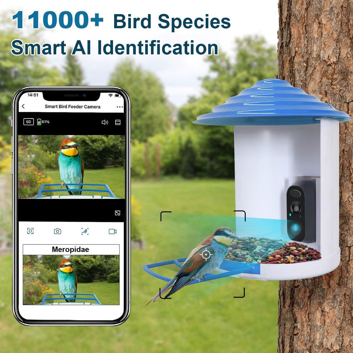 Smart Bird Feeder with Solar Powered Camera 1080P HD AI Identify PIR Motion Auto Capture Video Cloud Card Storage WiFi Connection App Control IP65 Wat, photo 8 of 14