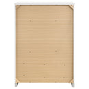 Dulcey - 5 Drawer Bedroom Chest - White by HouseOfZazla