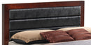 Transitional Modern Design Bed by HouseOfZazla
