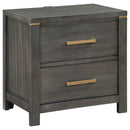 Herndon - 2 Drawer Nightstand With USB Port, Storage Furniture - Gray by HouseOfZazla