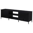 Kenneth - 2 Door TV Stand Doors - Black by HouseOfZazla