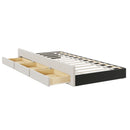 Upholstered Platform Bed With Twin Size Trundle And 3 Drawers by HouseOfZazla