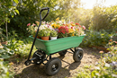 Folding Poly Garden Dump Truck with Steel Frame and Pneumatic Tires by HouseOfZazla