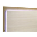 Lincoln - Bedroom Set With LED Headboard by HouseOfZazla