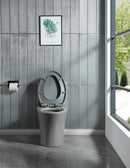 15 1/8 Inch 1.1/1.6 GPF Dual Flush 1-Piece Elongated Toilet with Soft-Close Seat - Light Grey