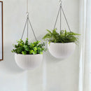 Self Watering Hanging Planter