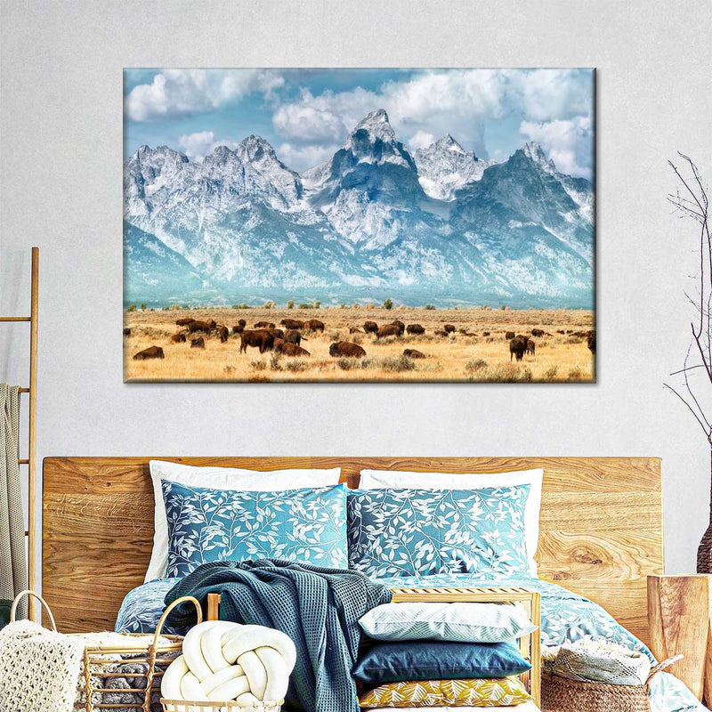 Bison Herd In Grand Teton Wall Art