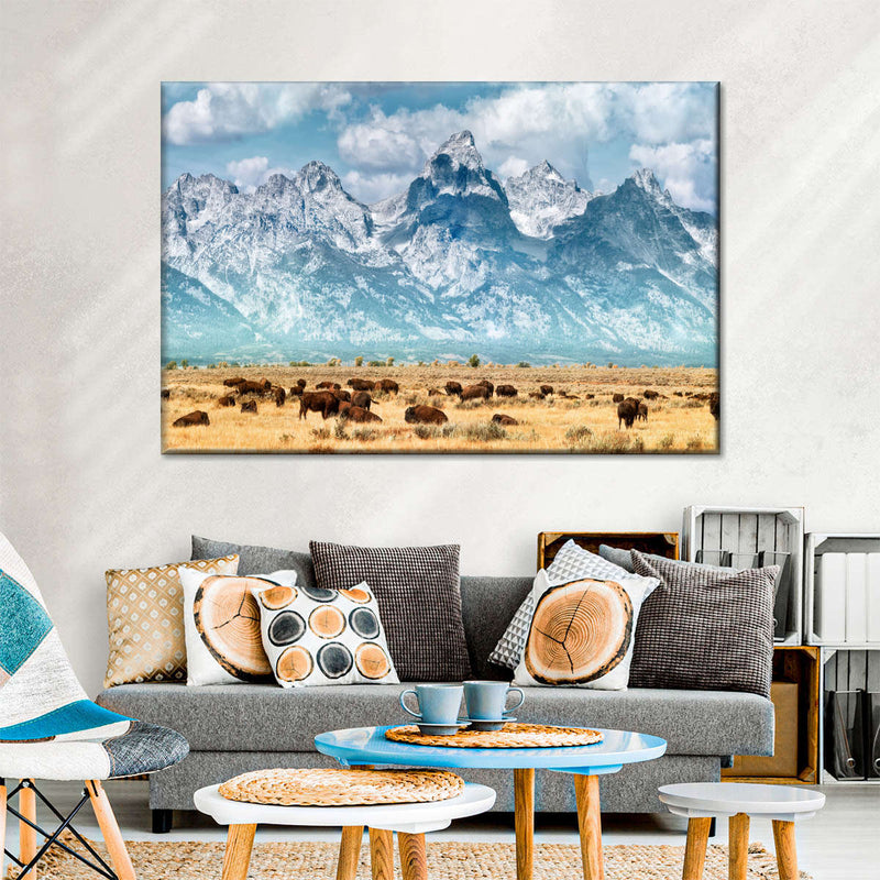 Bison Herd In Grand Teton Wall Art