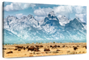 Bison Herd In Grand Teton Wall Art