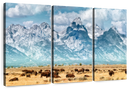 Bison Herd In Grand Teton Wall Art
