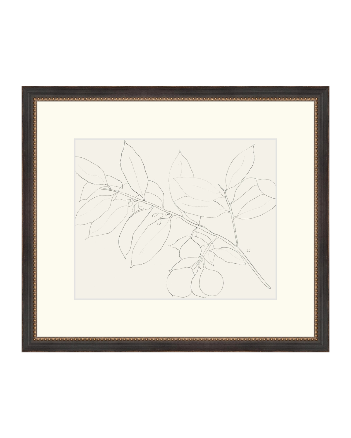 Lemon Branch Drawing, photo 35 of 42