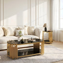 Modern Luxury Coffee Table and Side Table Set, 2-Piece Oval by HouseOfZazla