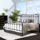 Transitional Style Bed With Accents