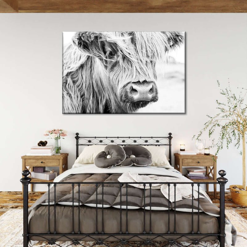 Long Haired Cow Wall Art