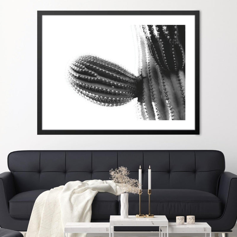 Cactus Plant Print