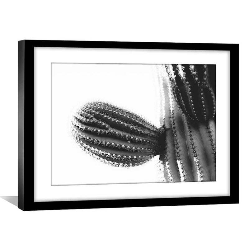 Cactus Plant Print