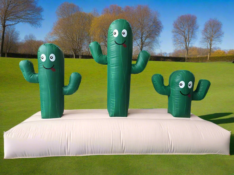 Cactus Ring Toss, photo 2 of 2