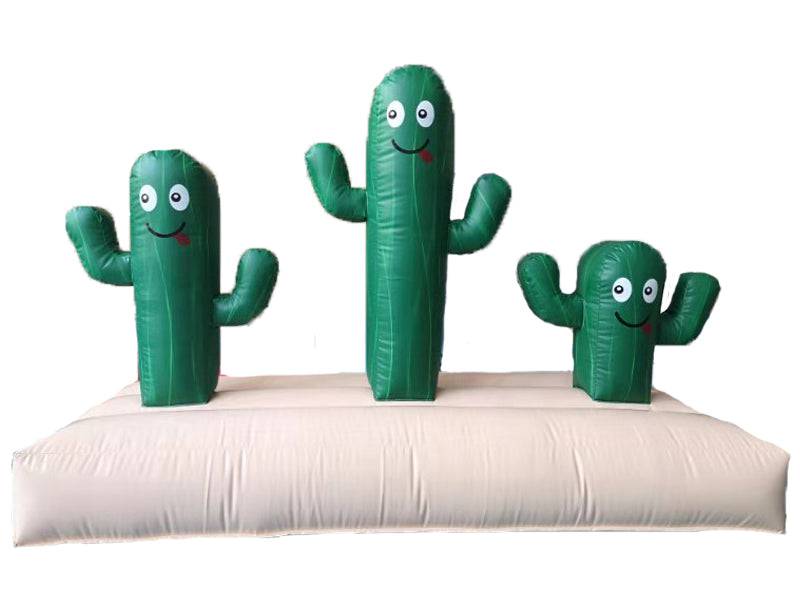 Cactus Ring Toss