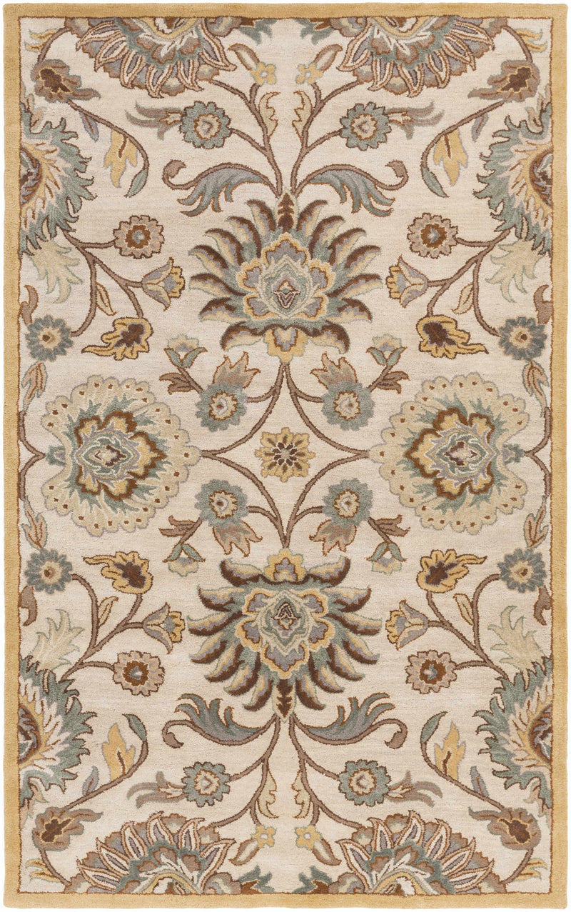 Conesus Hand Tufted Tan 1012 Wool Rug