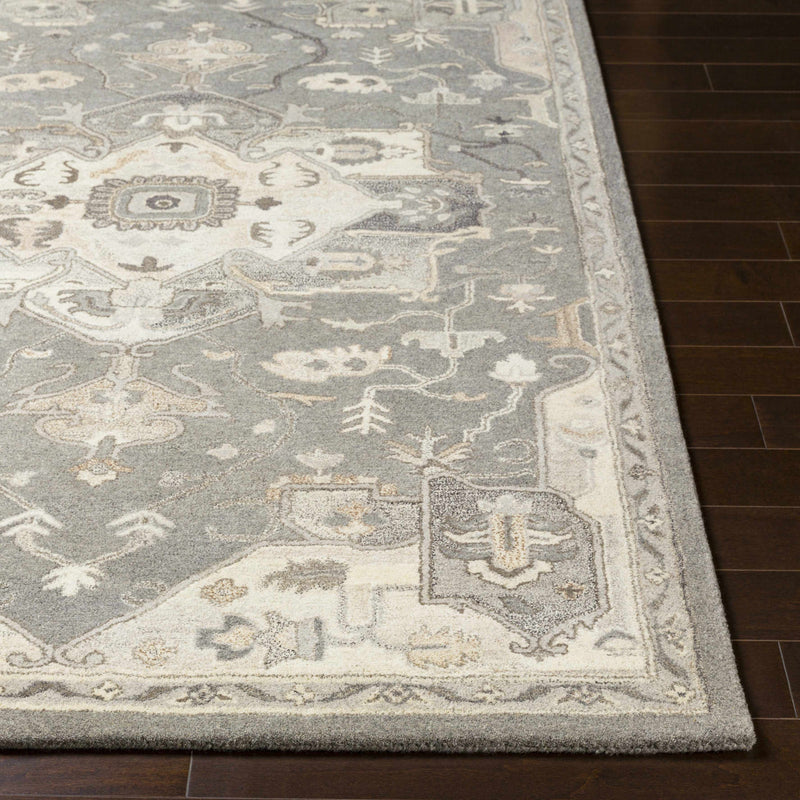 Broomfield Hand Tufted Taupe 1196 Area Rug