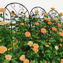 4 Pack Metal Garden Trellis 86.7'' x 19.7'' Rustproof Black by HouseOfZazla
