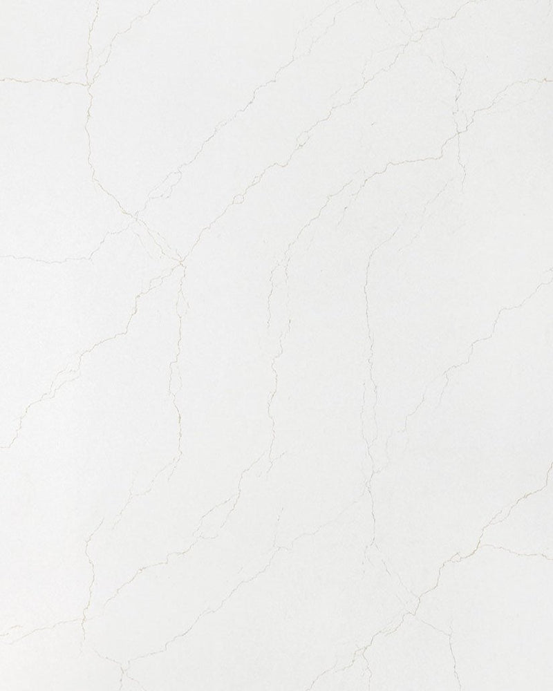 Calacatta Adonia Msi Q