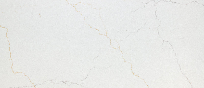 Calacatta Adonia Msi Q