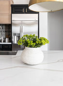 Calacatta Belleza Vadara