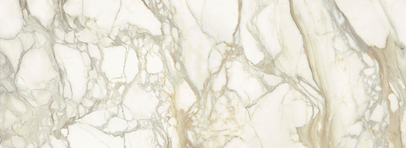 Calacatta Dorato Maximum