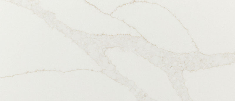 Calacatta Elysio Msi Q