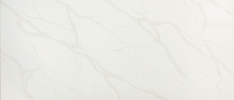 Calacatta Elysio Msi Q