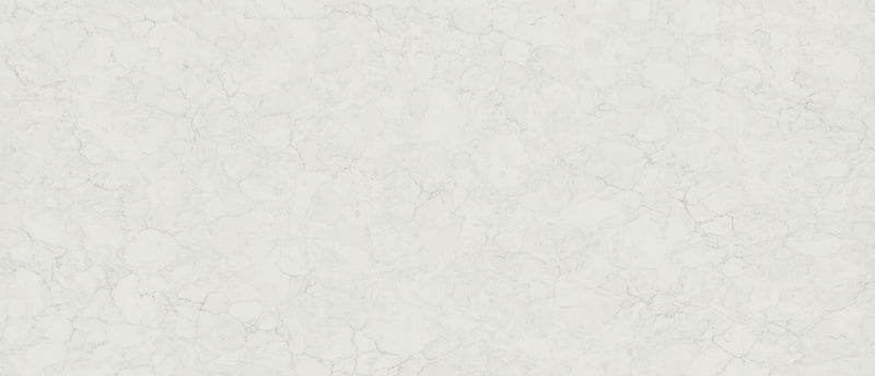 Calacatta Fioressa Msi Q