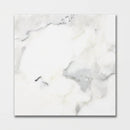 Calacatta Gold Polished Marble Tiles 18x18