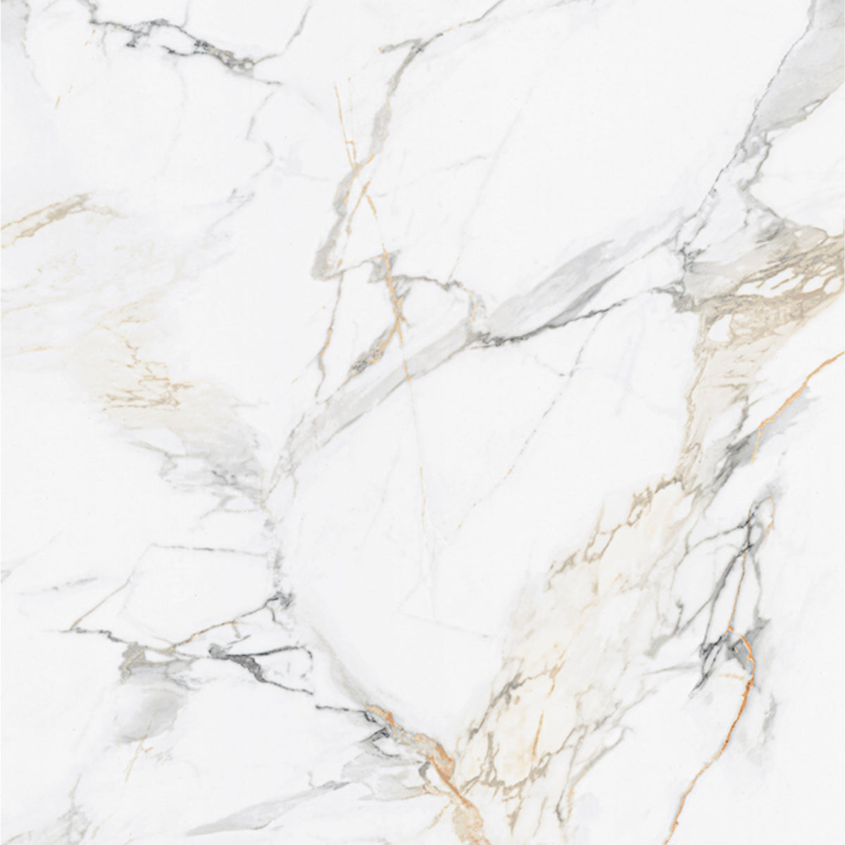 MSI Calacatta Golden Mist Panels, close-up of the surface