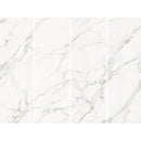 MSI Calacatta Golden Mist Panels