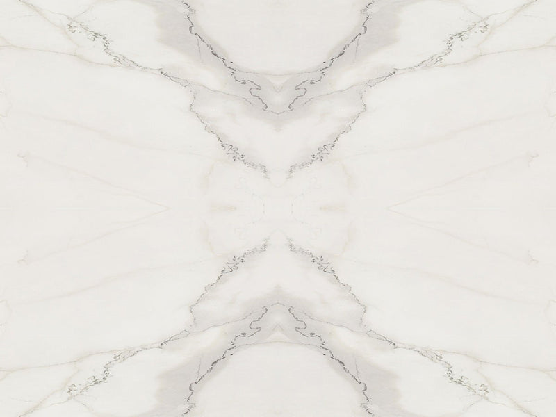 Calacatta Licoln Marble