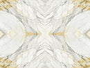 Calacatta Macchia Vecchia Marble