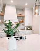 Calacatta Miraggio Msi Q