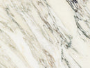 Calacatta Monet Marble