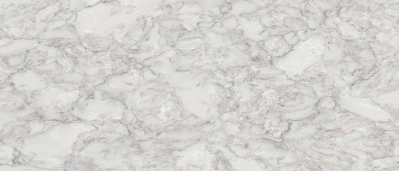 Calacatta Ocellio Msi Q