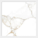 Calacatta Oro Polished Porcelain Tiles 24x24