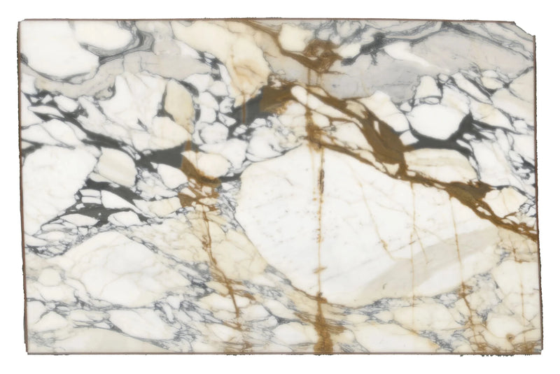 Calacatta Picasso Marble