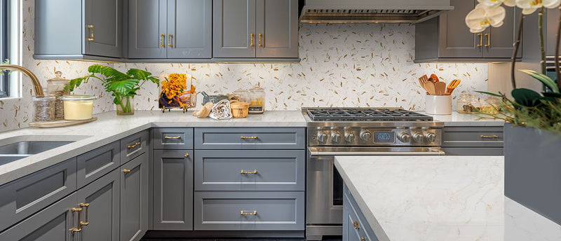 Calacatta Premata Msi Q