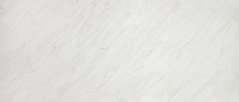 Calacatta Premata Msi Q