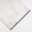 Calacatta T Honed Marble Tiles 12x12