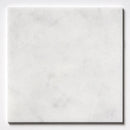 Calacatta T Honed Marble Tiles 12x12